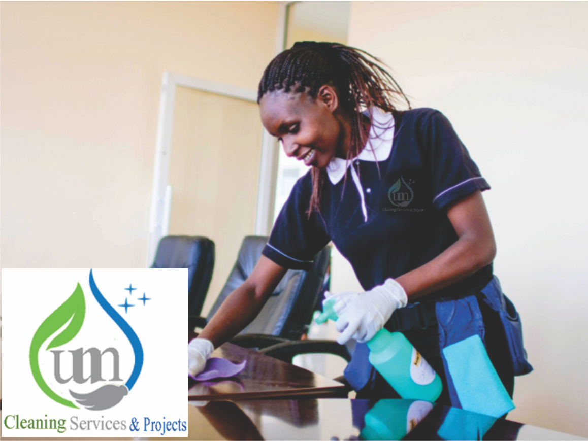 WNM professional cleaner at work in office